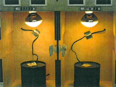 熱抑制塗料のクールネスコートをご検討ください!